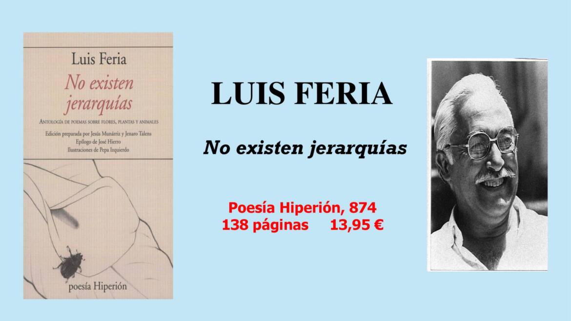 874-No-existen-jerarquias-scaled.jpg
