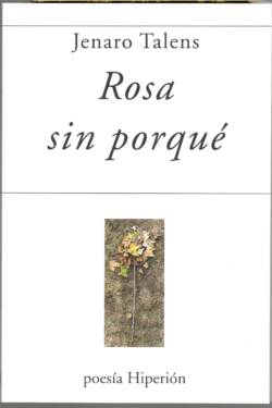 ROSA SIN PORQUÉ